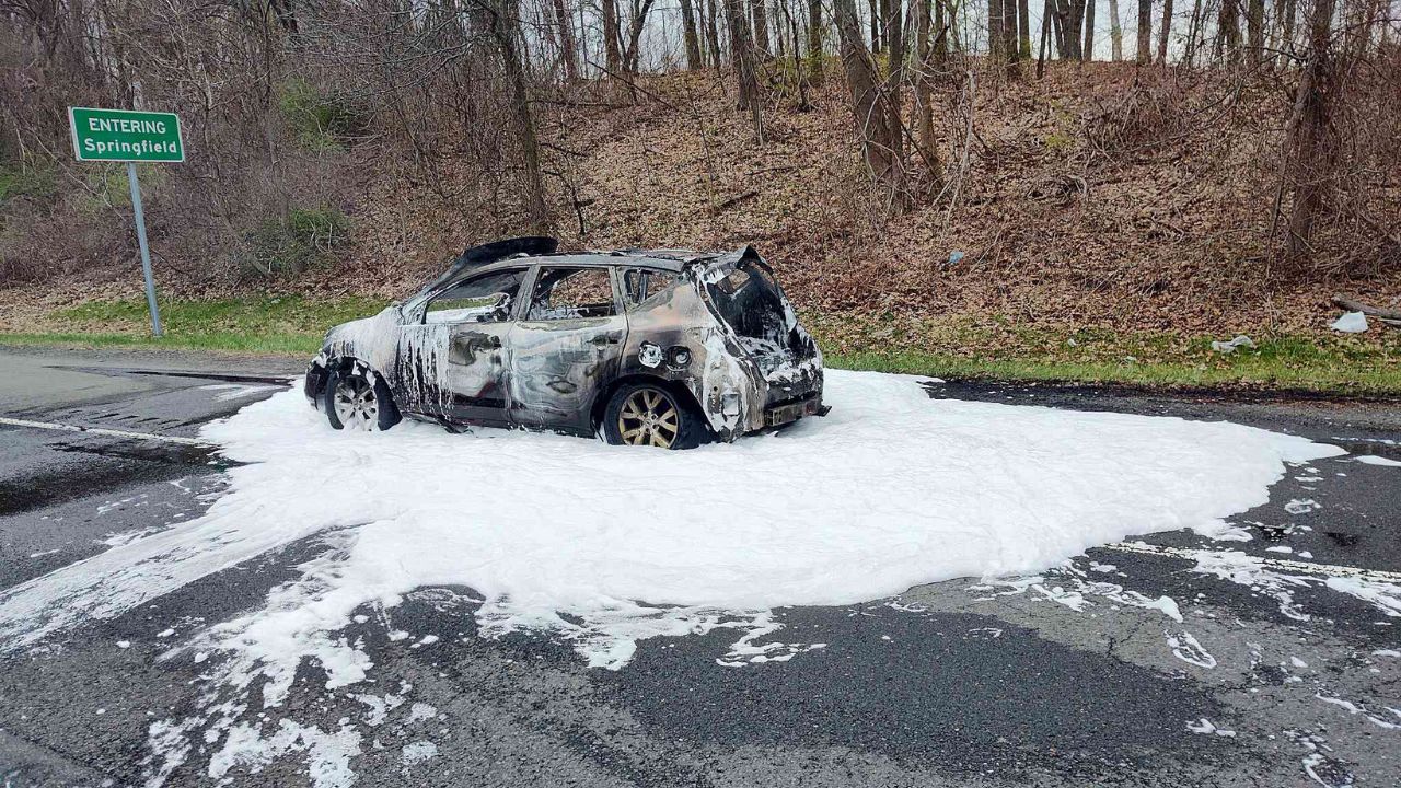 Missing Dog Found Alive After 34 Days During Massachusetts Car Fire Response