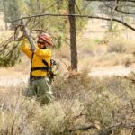 Oregon Town of 3,800 Told to Prepare for Evacuation as Nation's Top-Priority Wildfire Closes In