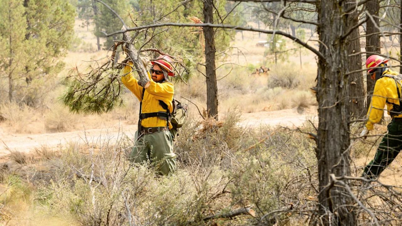 Oregon Town of 3,800 Told to Prepare for Evacuation as Nation's Top-Priority Wildfire Closes In
